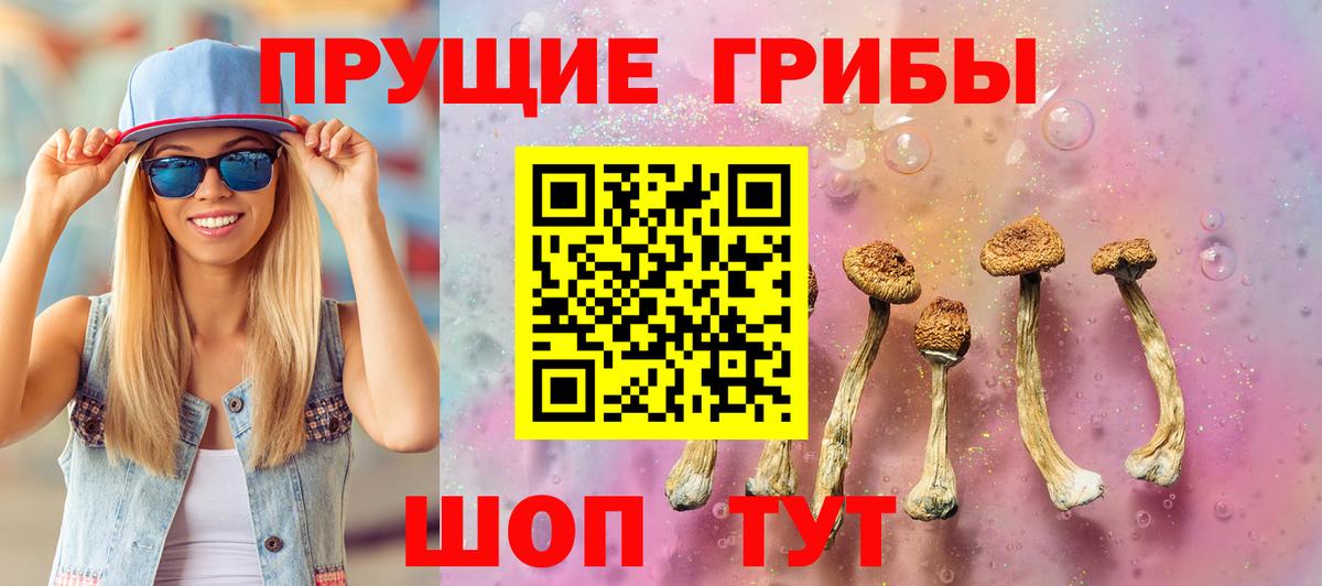 Королёв  Псилоцибиновые грибы Cubensis  Вход с VPN 